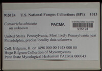 Image Associated With the Occurence